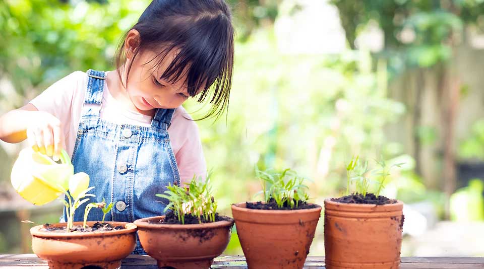 Fun Gardening with an Isolated Child